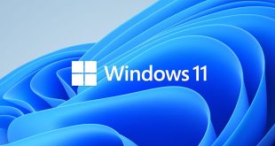 windows-11