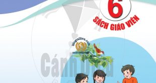 Bo-sach-giao-vien-tin-hoc-lop-6-canh-dieu