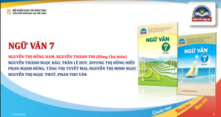 NV7 - CTST
