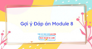 goi-y-dap-an-module-8
