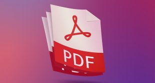 phan mem chinh pdf